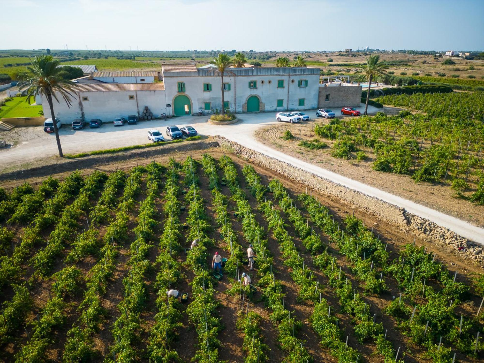 Agriturismo Baglio Donnafranca Wine Resort Marsala Eksteriør bilde