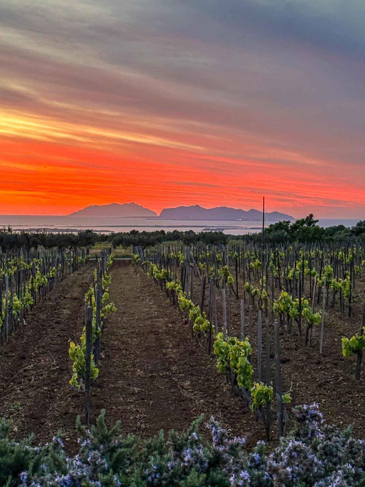 Agriturismo Baglio Donnafranca Wine Resort Marsala Eksteriør bilde