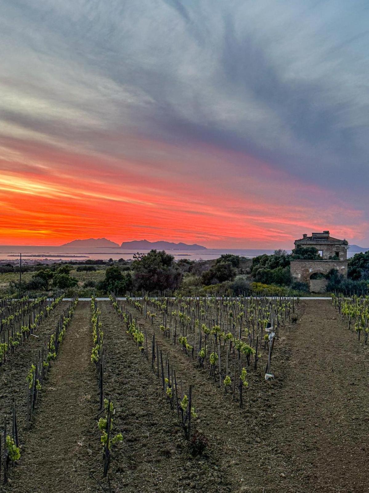 Agriturismo Baglio Donnafranca Wine Resort Marsala Eksteriør bilde