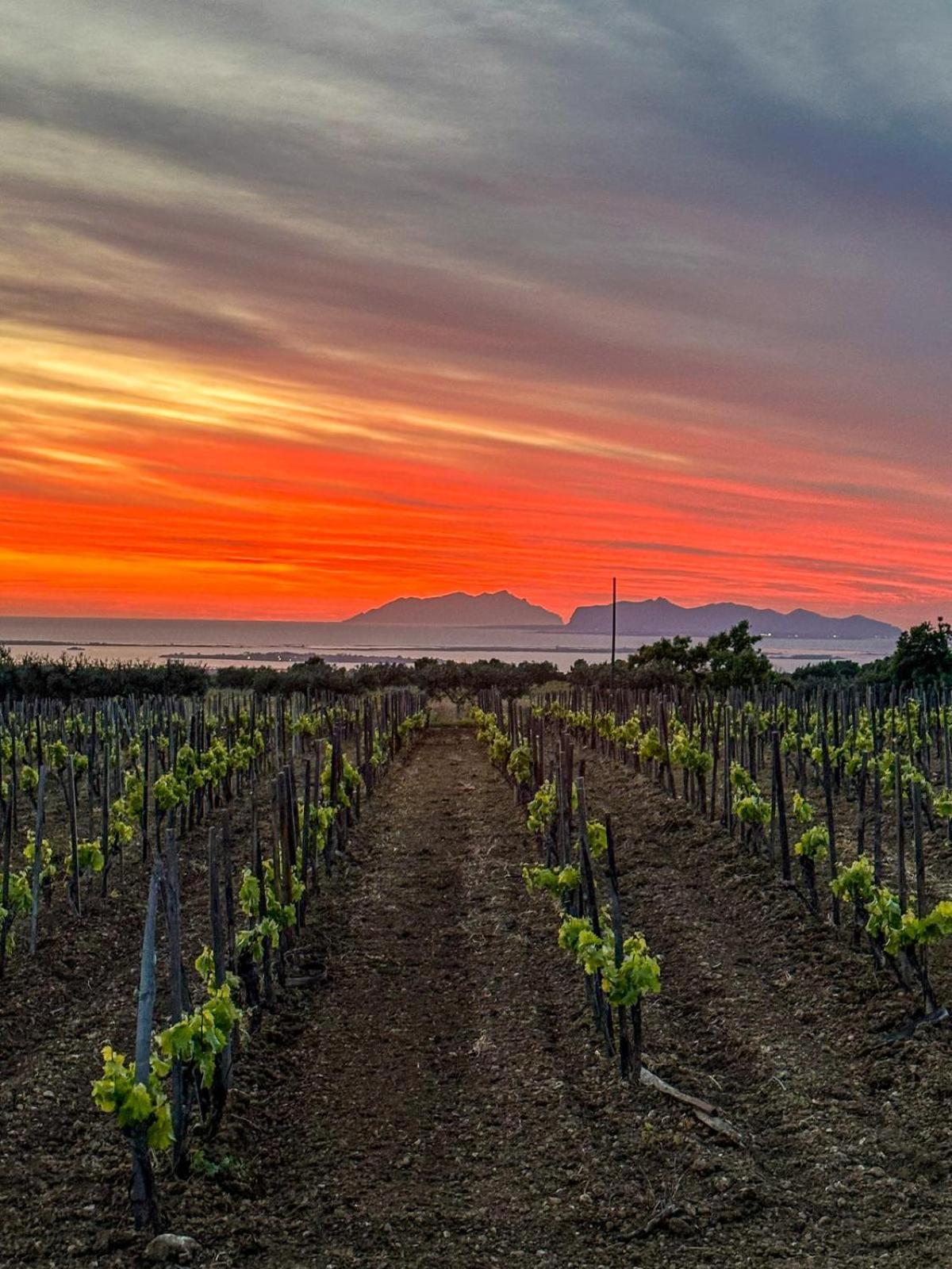 Agriturismo Baglio Donnafranca Wine Resort Marsala Eksteriør bilde