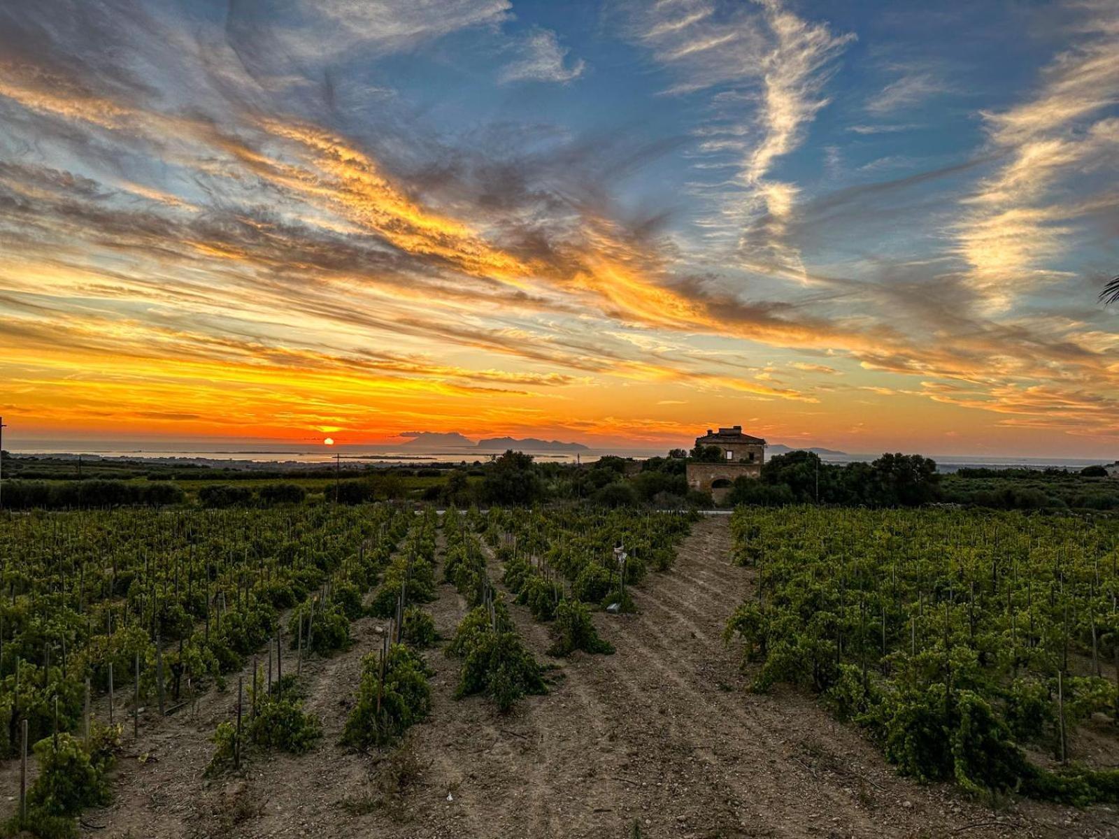 Agriturismo Baglio Donnafranca Wine Resort Marsala Eksteriør bilde